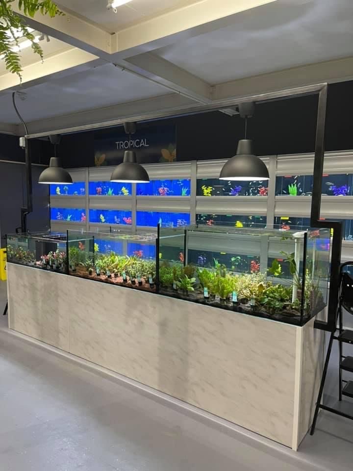 KGM Welding project photo